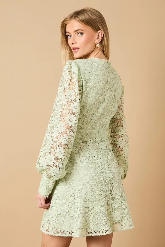 Lace Button Down Mini Tea Dress