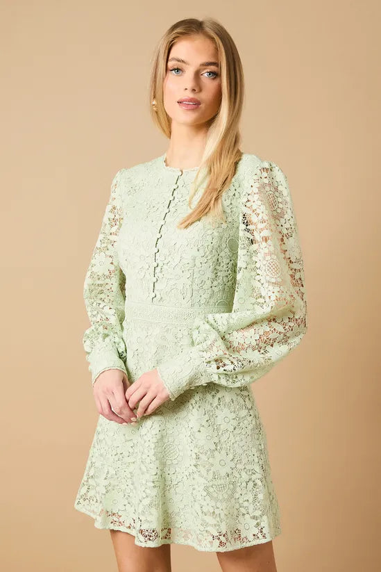 Lace Button Down Mini Tea Dress